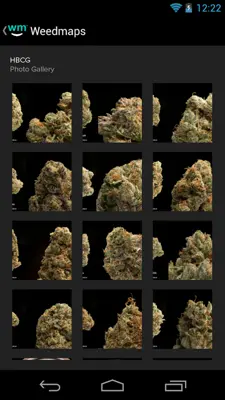 Weedmaps android App screenshot 15